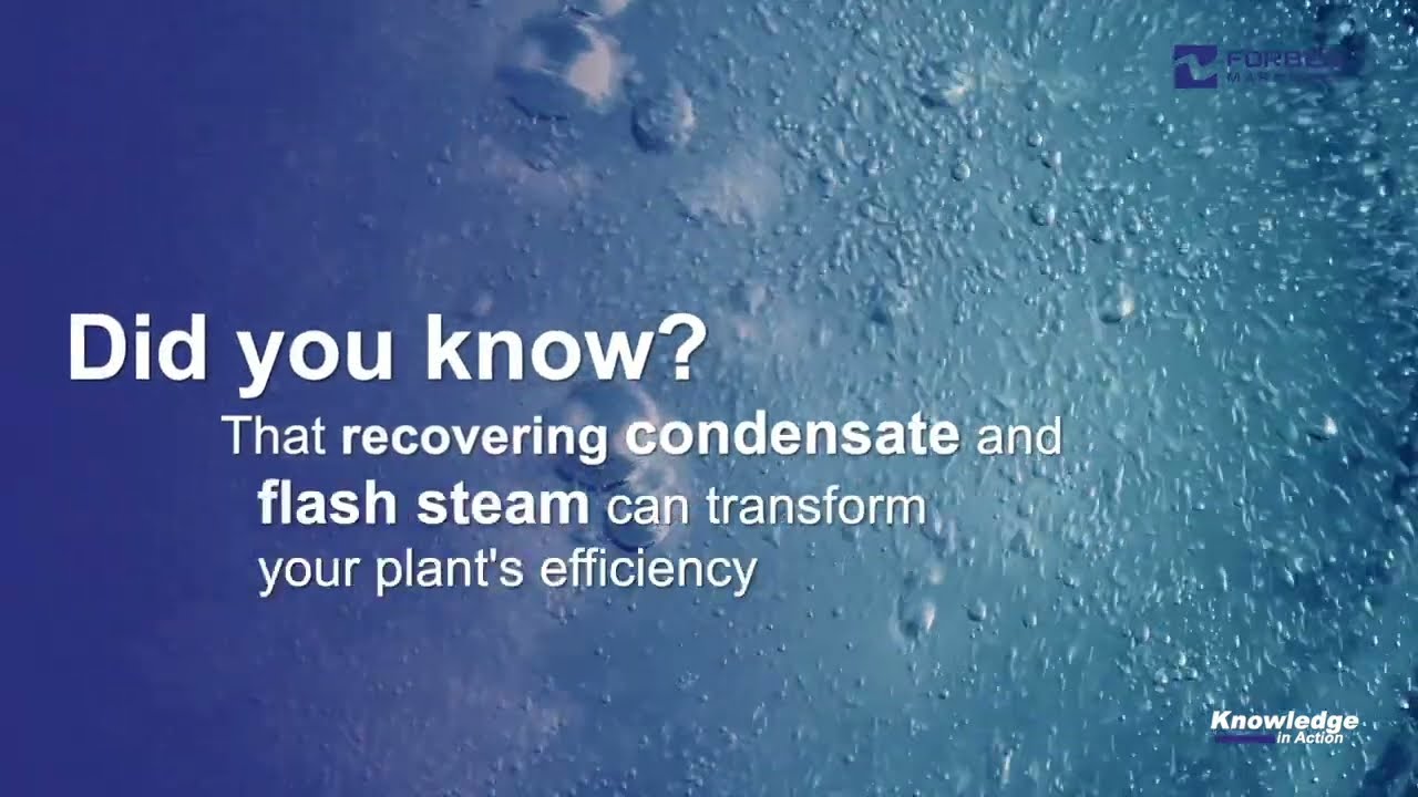 Why Recover Condensate and Flash Steam? Save Energy, Maximise Efficiency