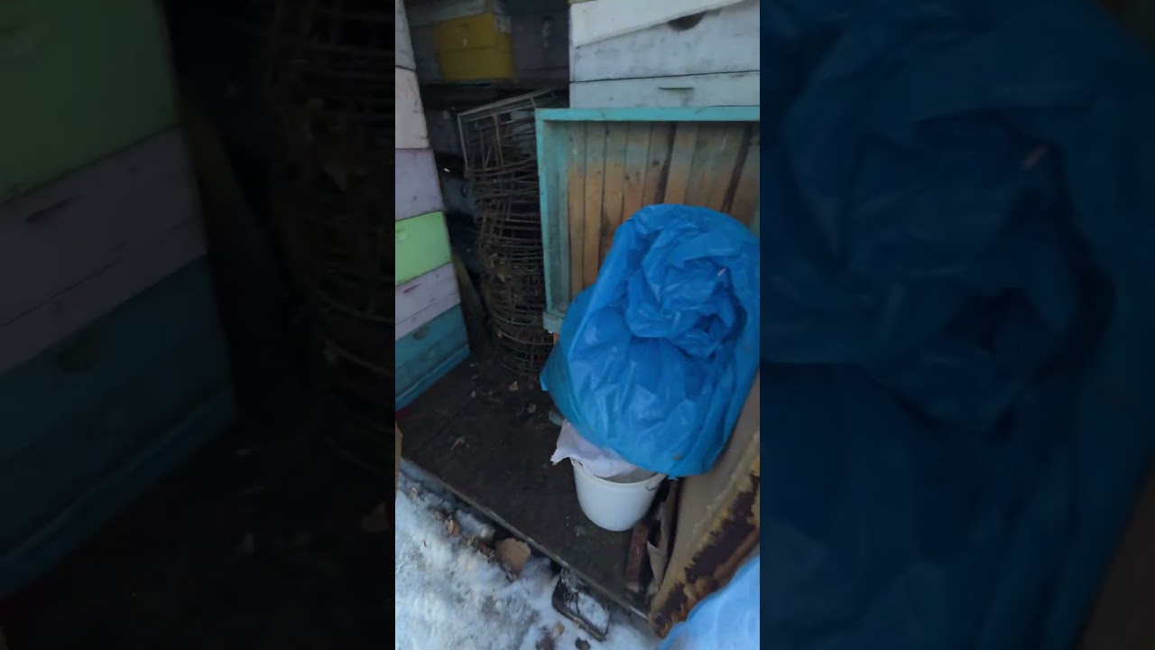Готовимся к выставке пчел. На Алтай пришло потепление 17.02.26