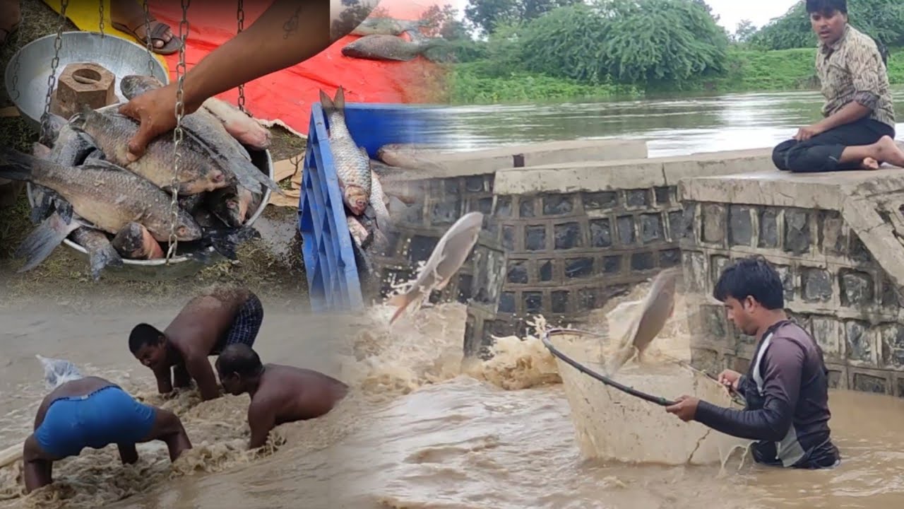 चढ़ने वाली मछली कैसे पकड़े? 😱 | चढणीचे मासे | Monsoon Fishing Special