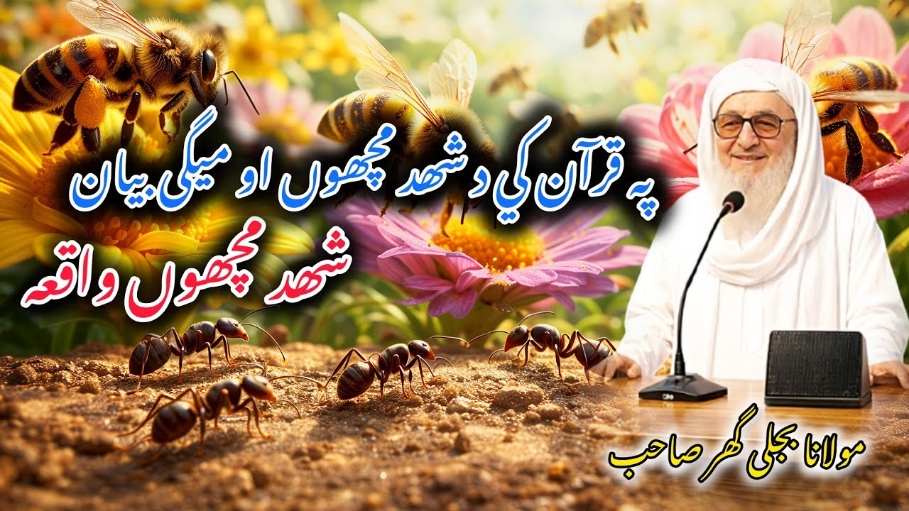 Molana Bijlee Gar Sahib Bayan | Quran Ki Shahd Macho Ki Hairan Kun Haqiqat | Ilmi Aur Imani Bayan