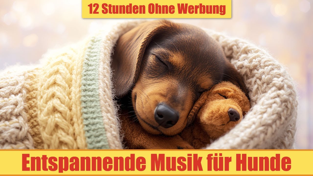 Schlafmusik für Hunde - 12 Stunden Ohne Werbung | Für Welpen & alte Hunde_vol.30