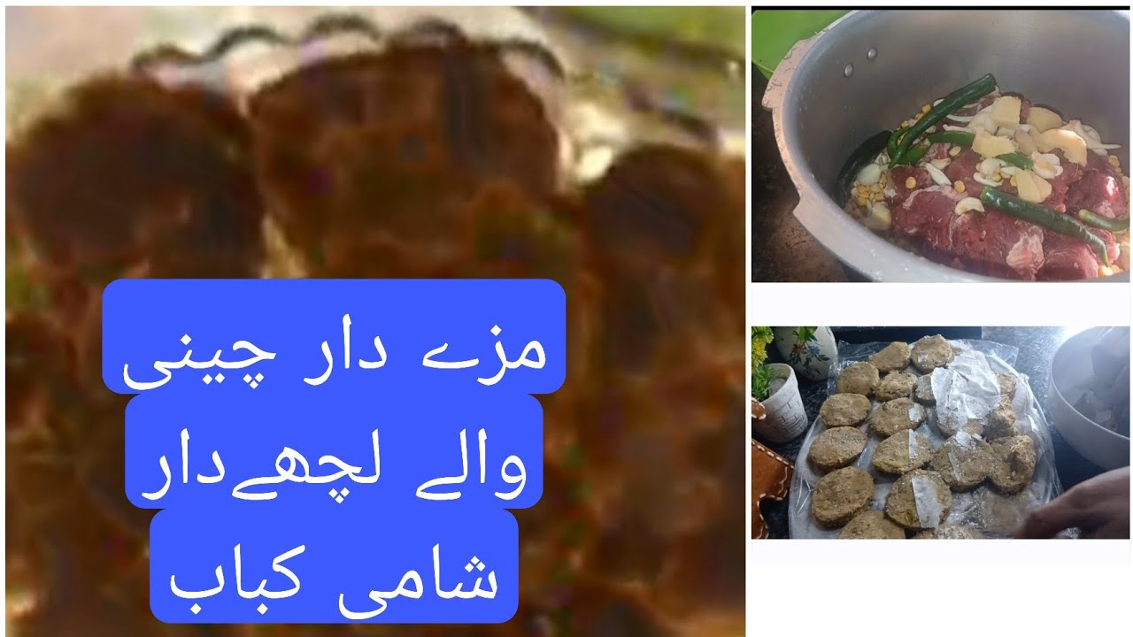 Chini wale lachedar r rishedar Shami Kabab bahut hi testi yummy Ek Bar zarur TRAI Karen