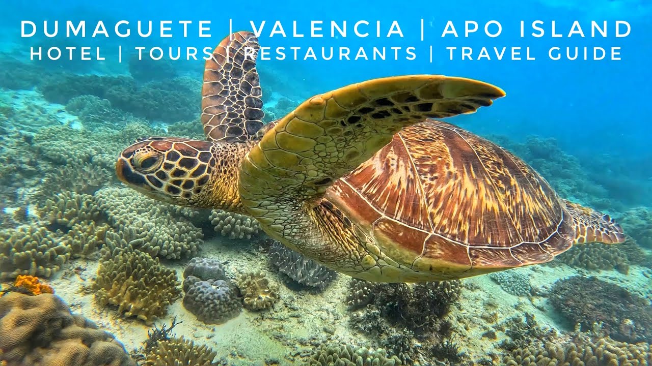 Dumaguete, Valencia, & Apo Island Tours | Travel Guide