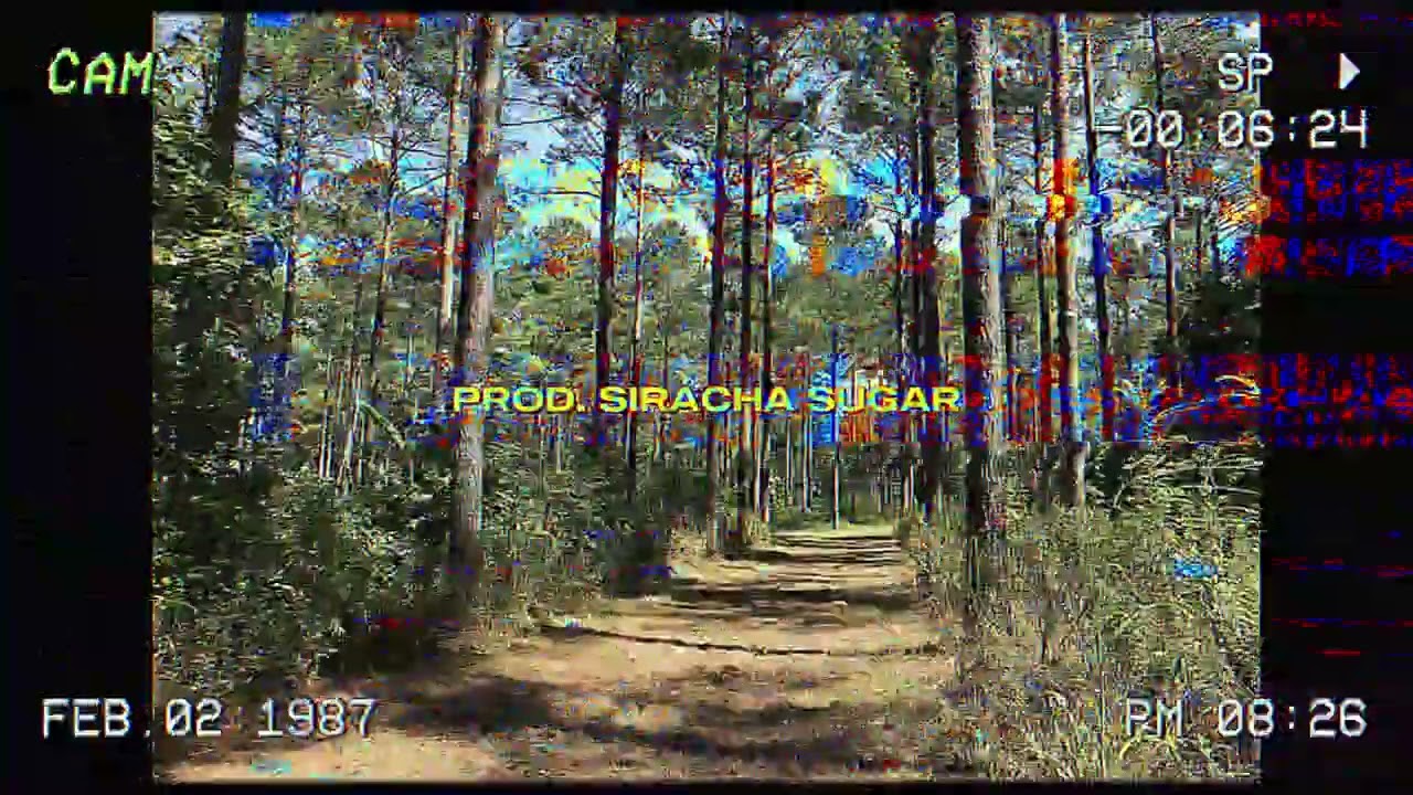 [FREE FOR PROFIT] OLD $UICIDEBOY$ 2016-2017 TYPE BEAT (PROD. SIRACHA SUGAR)