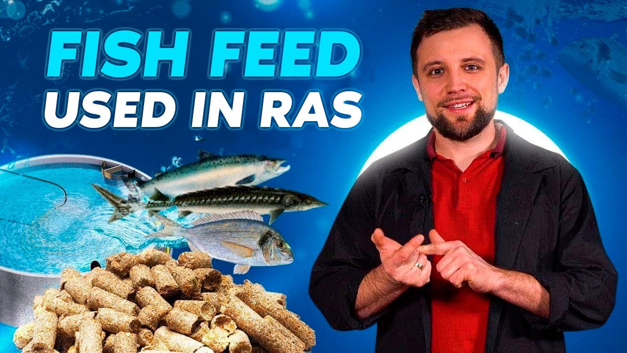 Fish FEEDS for RAS FISH FARM | What is the composition of SUCH FEEDS and what is FEEDING RATIO?