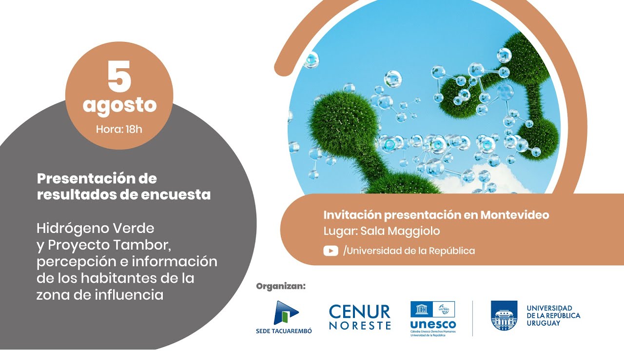 Presentación de resultados de la encuesta: Hidrógeno verde y proyecto tambor