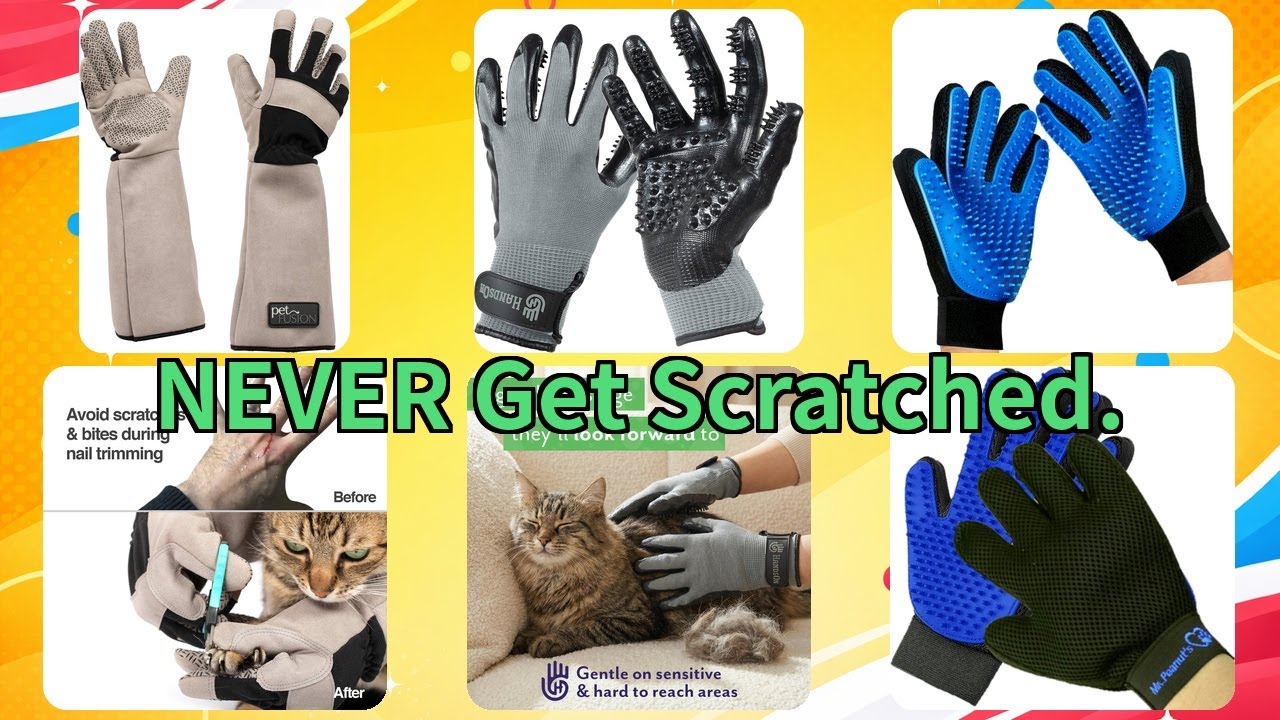 Top 3 Pet Grooming Gloves: Stop Shedding & Vet Trip Stress (Trusted Review)