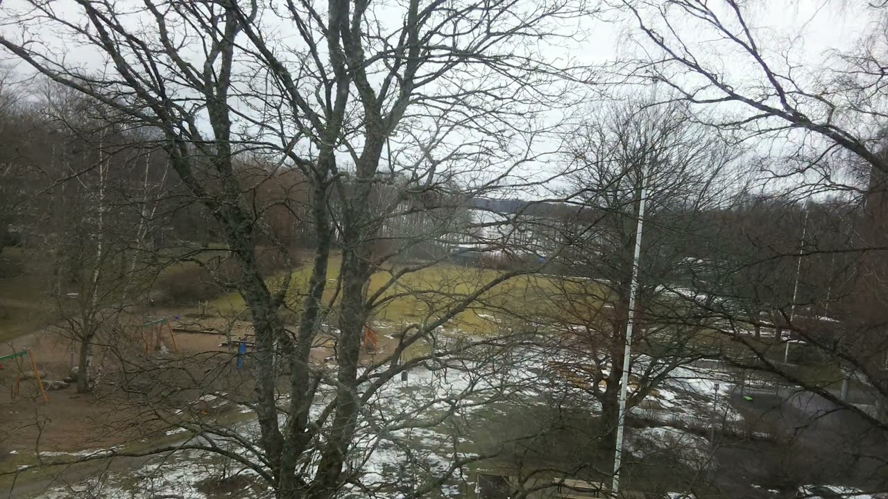 Daily Timelapse Pi0Cam 2026-03-16