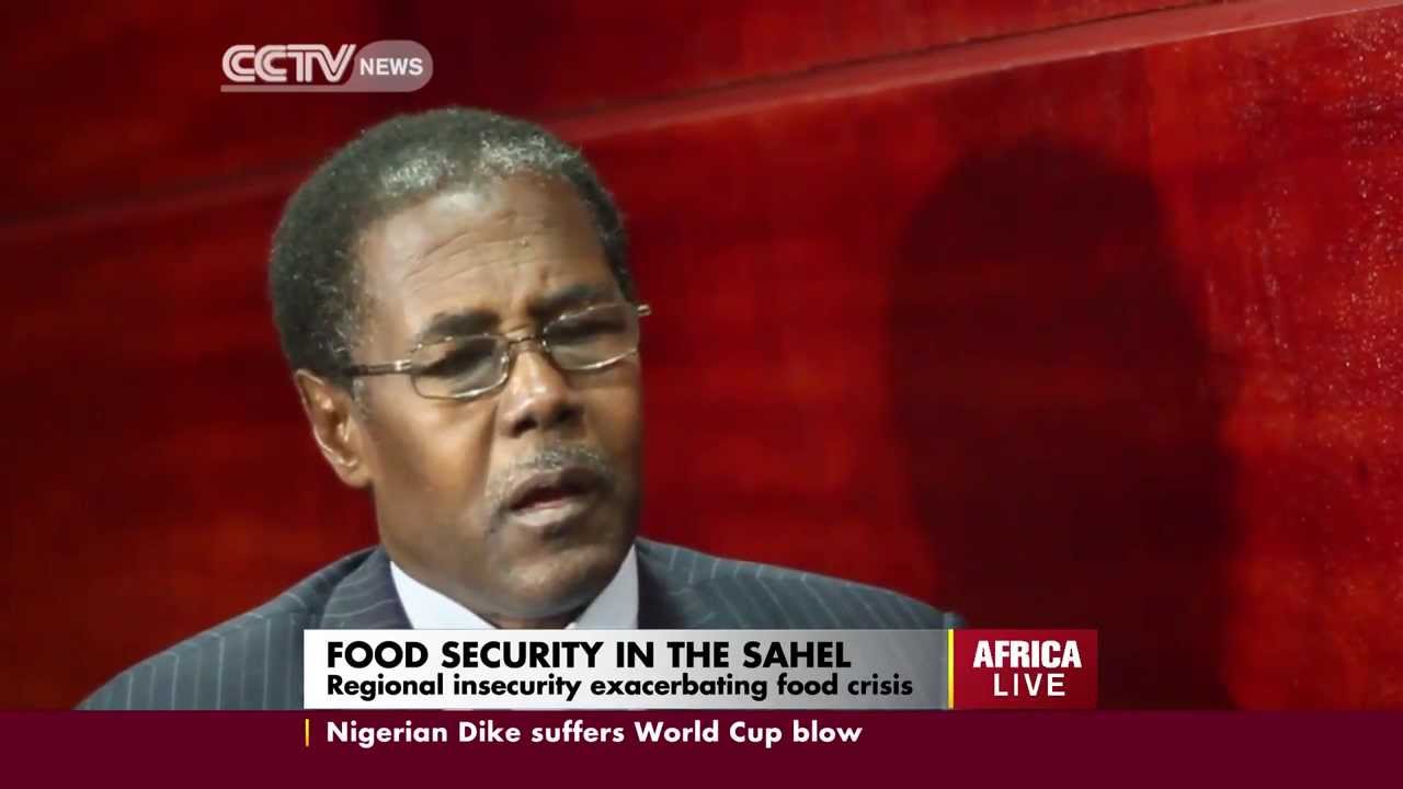 Food Security in the Sahel Region