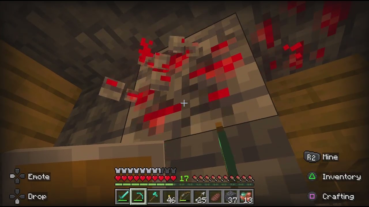 Minecraft Survivor Survival World! 14