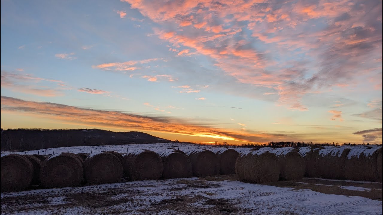 Working on Alberta Ranch