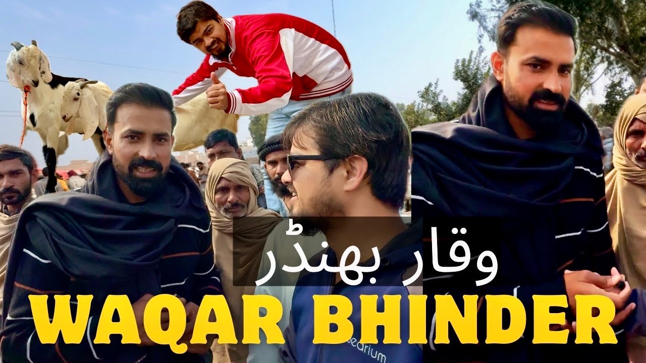 Waqar Bhinder | Waqar Bhinder Kay Sath Aik Din Gojra Mandi😍 | Waqar Bhinder❤️