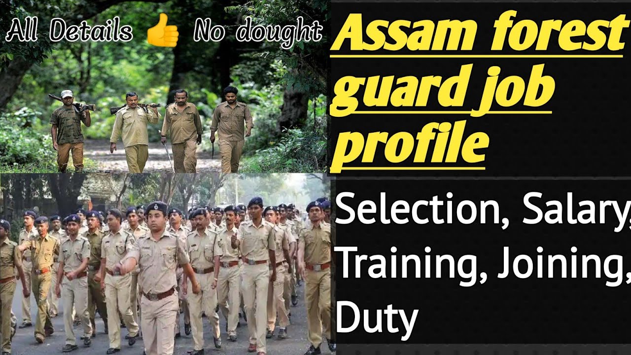 Assam forest guard Job profile//Salary কিমান পাব,কি Duty  কৰিব লাগে//All details of Forest guard