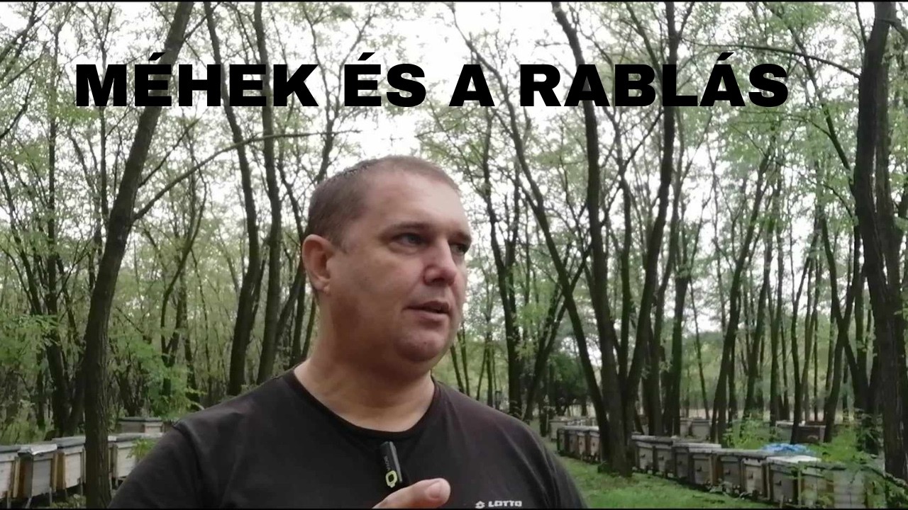Rablásos, kutatásos időszakban hogyan etessünk fel télire,hogy szüntessük meg a kutatást