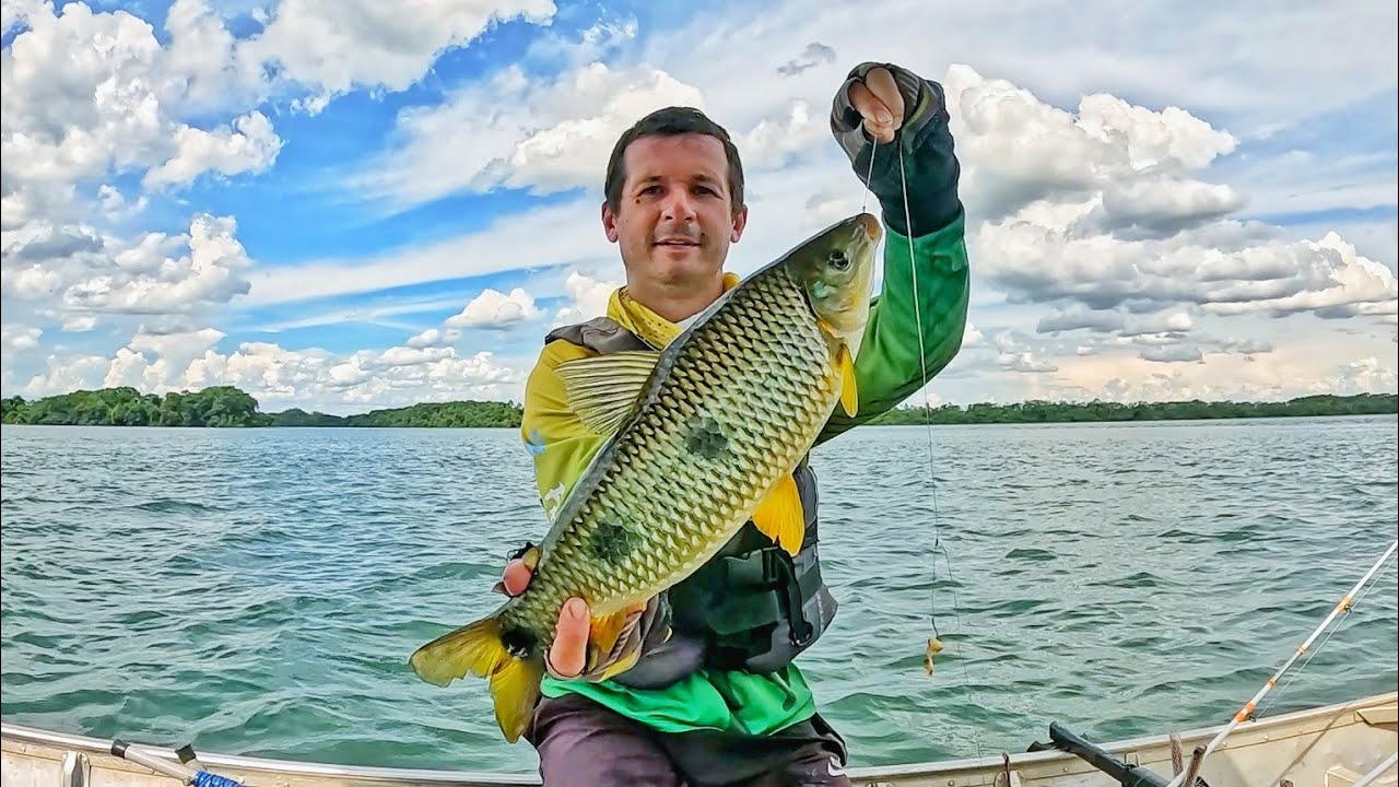 PESCARIA DE PIAPARA NO RIO PARAN&Aacute; EM PAULIC&Eacute;IA - PARANAZ&Atilde;O