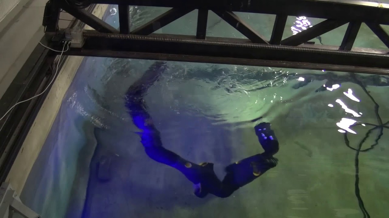 Underwater Robot Snake