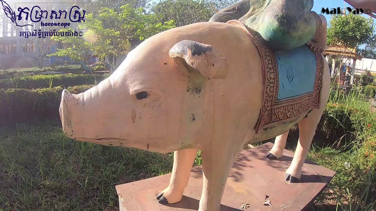 ជោគជតារាសីអ្នកកើតឆ្នាំកុរ ពីអាយុ៦ឆ្នាំ ដល់៨០ឆ្នាំ | Pig 6years-80years Khmer Horoscope
