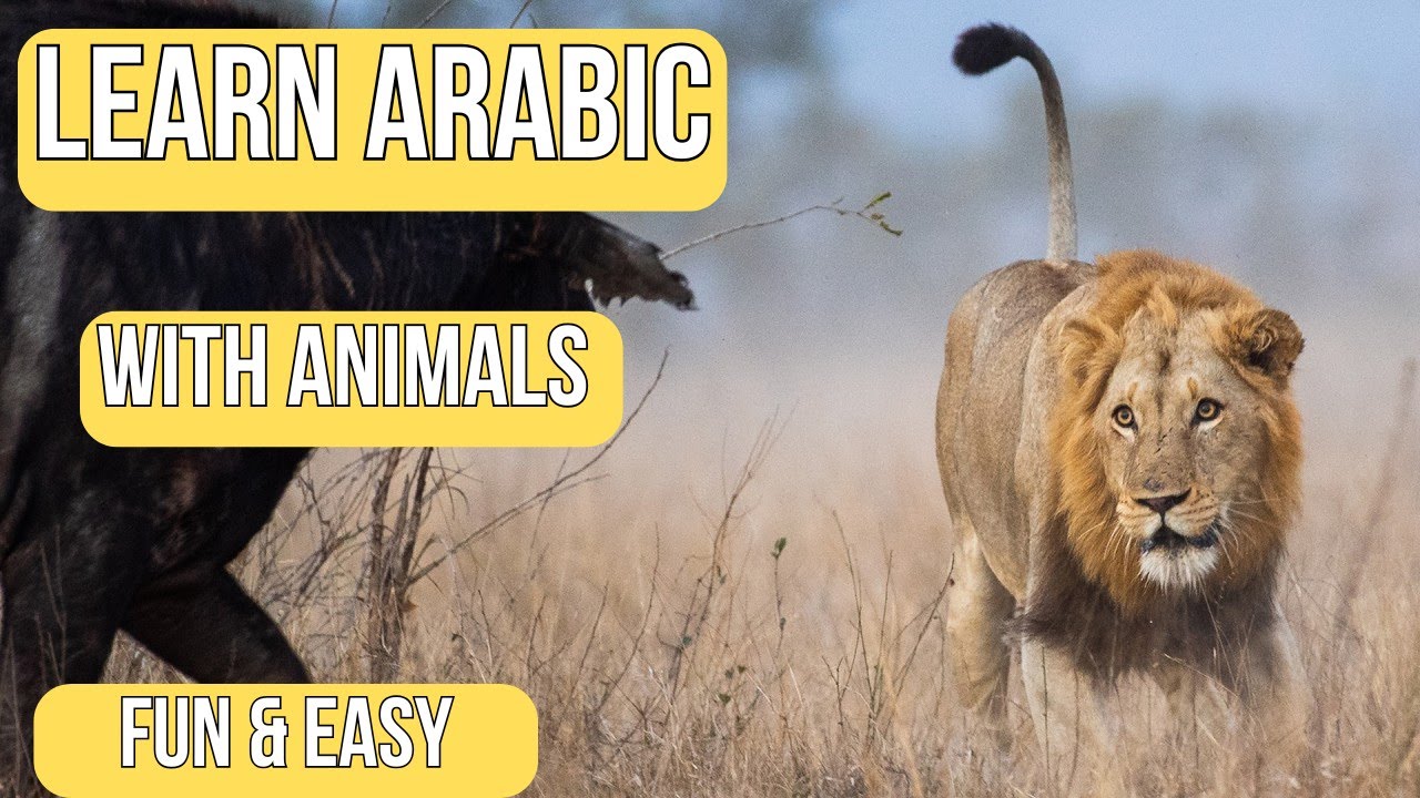 Learn Arabic Through Wildlife Stories 🐘🦁 | Nature Documentary Lesson