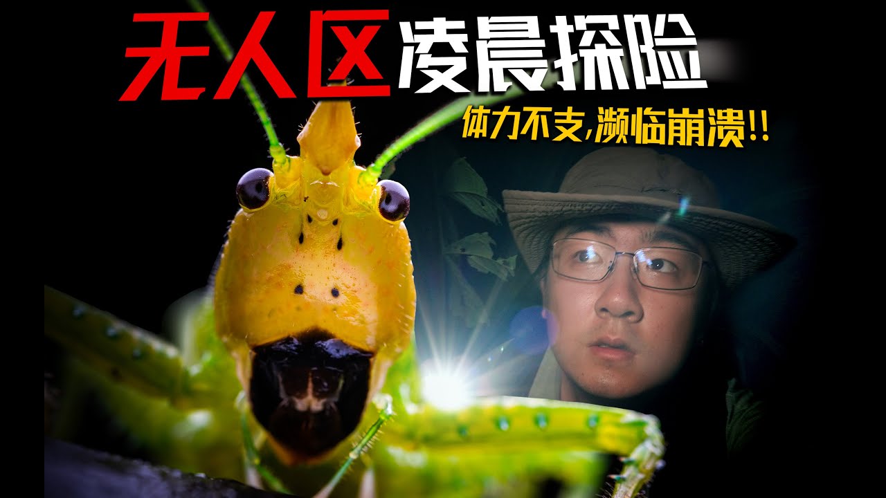 探险队濒临崩溃！体力严重透支！热带风暴突然来袭，我们能否化险为夷？| 斯洛勇闯中美洲！新格拉纳达的救赎 · 五