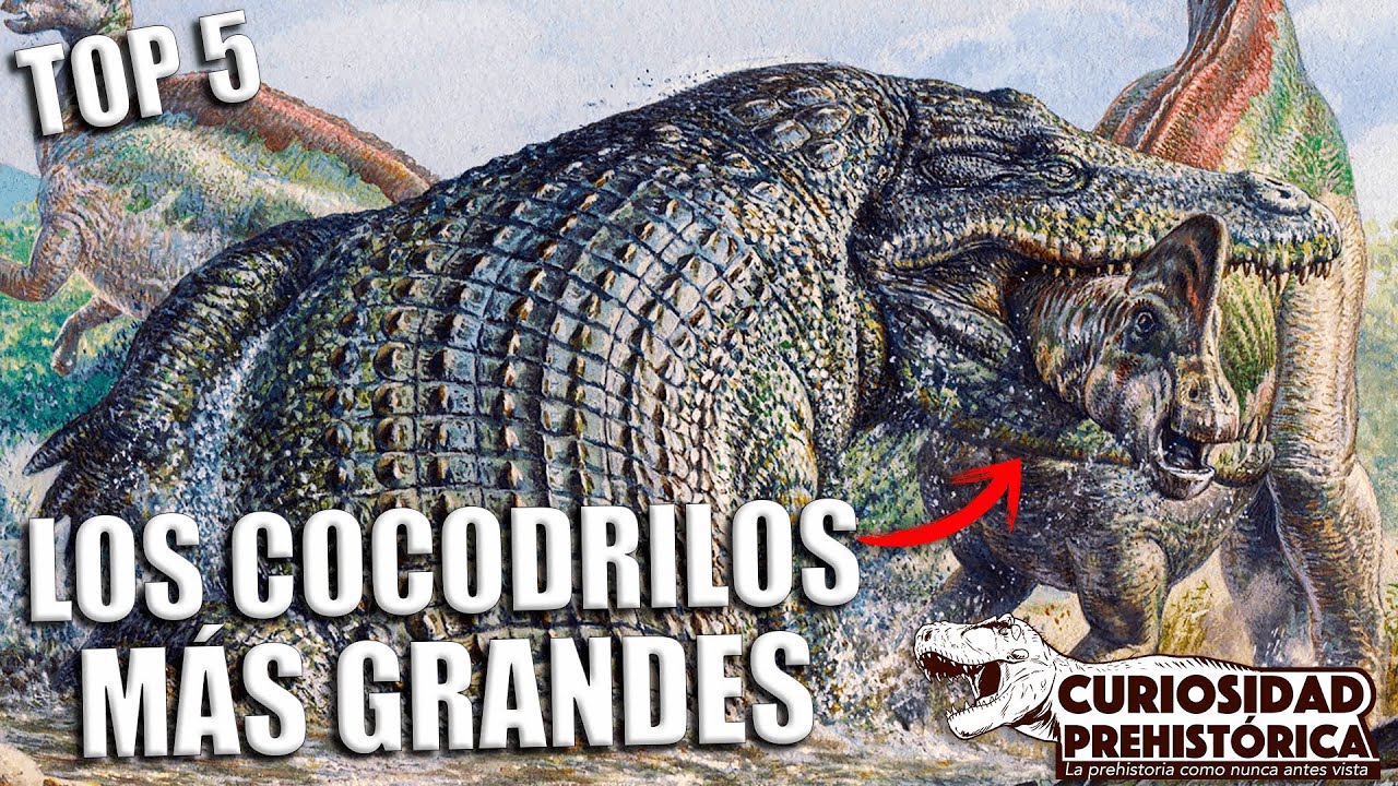 ¡LOS COCODRILOS MÁS GRANDES DE LA PREHISTORIA!