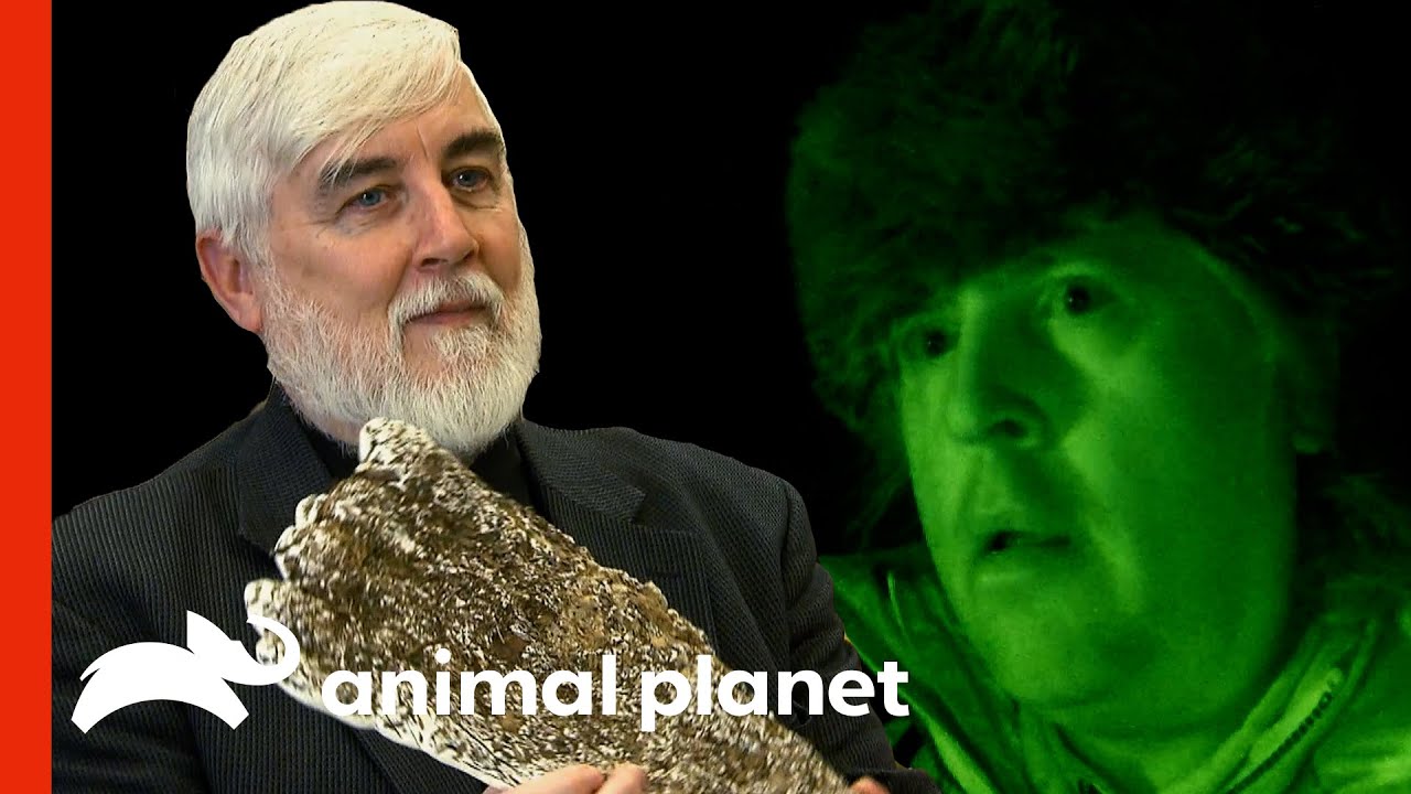 Cryptozoology Expert Helps The Team | Finding Bigfoot