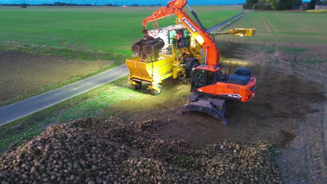 4K BETTERAVES 25/26, GRUE 31, SUCRERIE ROYE pt1