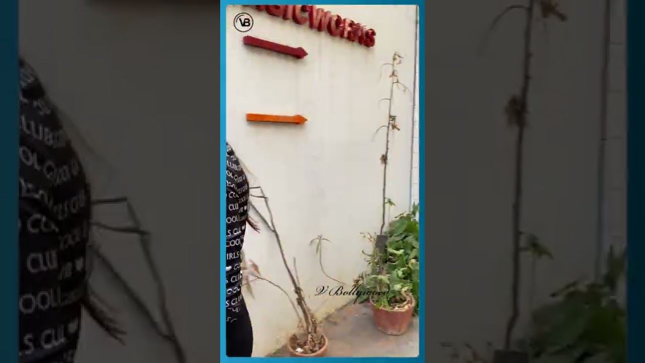 Sherlyn Chopra Removing Dress In Front Of Media