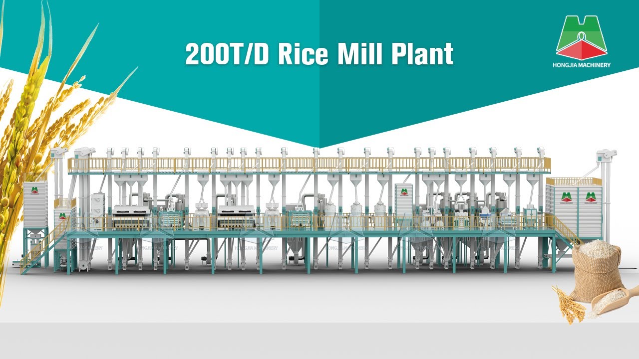 200T Rice Mill Plant | Rice Processing Machine Factory from China #ricemillsupplier #ricemill