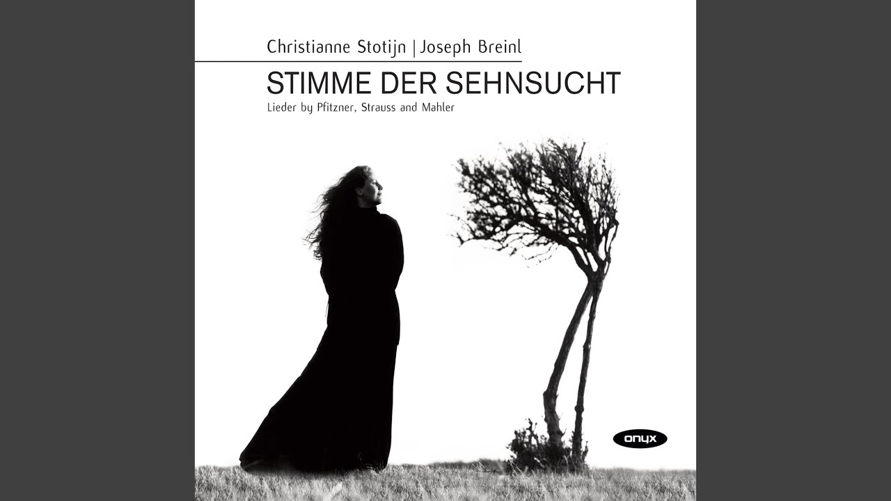 5 Lieder, Op. 47: II. Des Dichters Abendgang