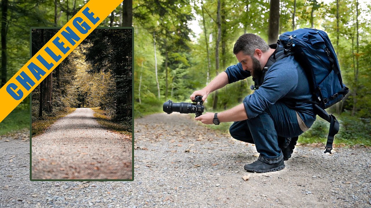 Fotochallenge: 3 Bilder in 12 Minuten im Wald