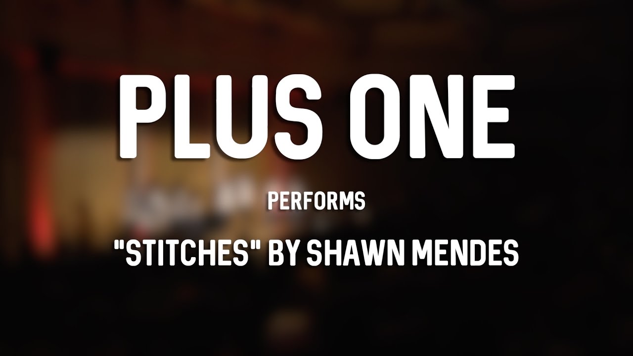 Stitches (Shawn Mendes Cover) | Plus One Acapella