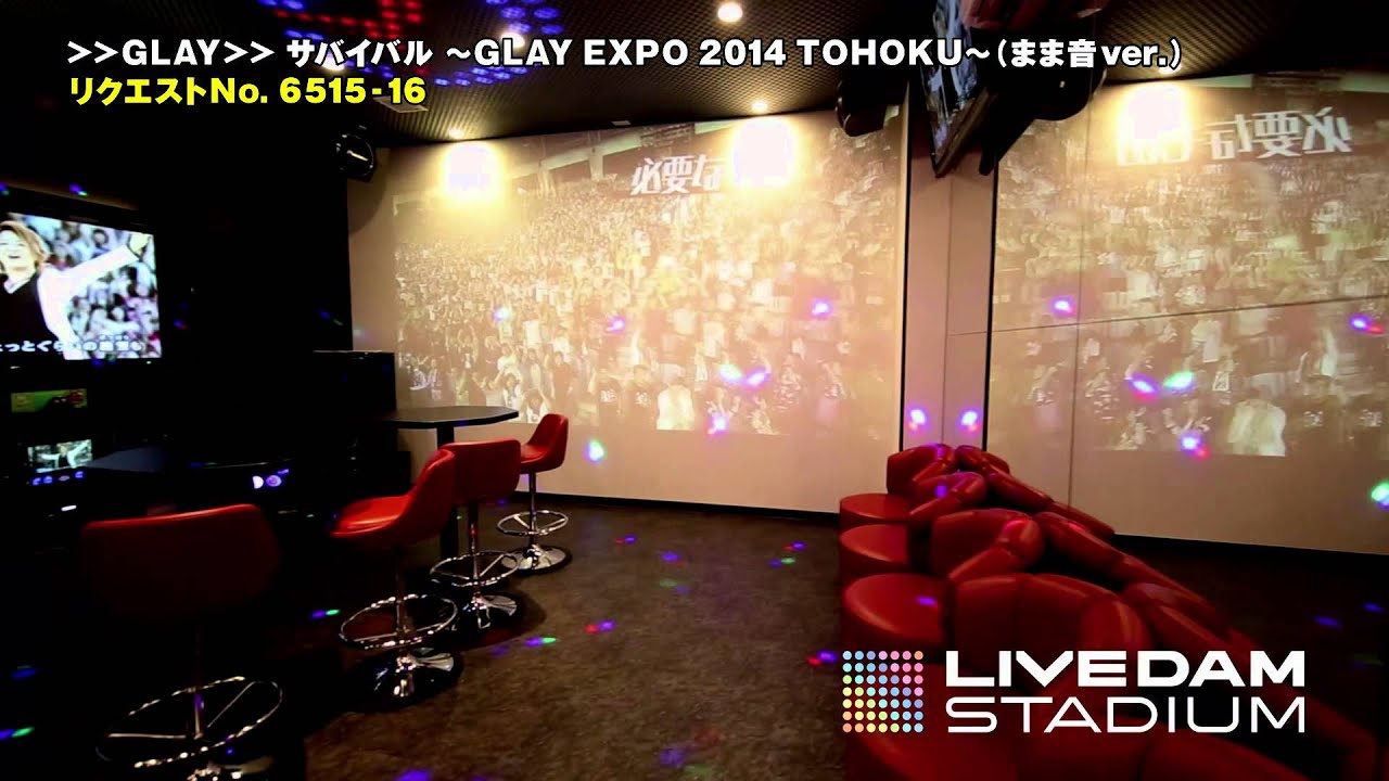 LIVE DAM STADIUM デュアルモニタールーム　ジャパンカラオケ南陽茶屋店
