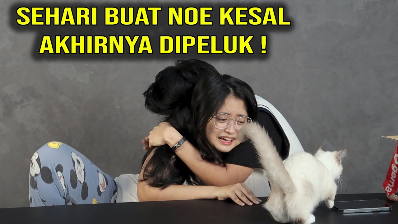 BARU KALI INI NOE MAU MELUK LARAS