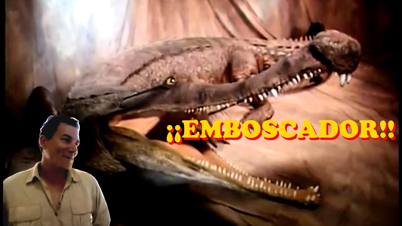 SARCOSUCHUS por PAUL SERENO