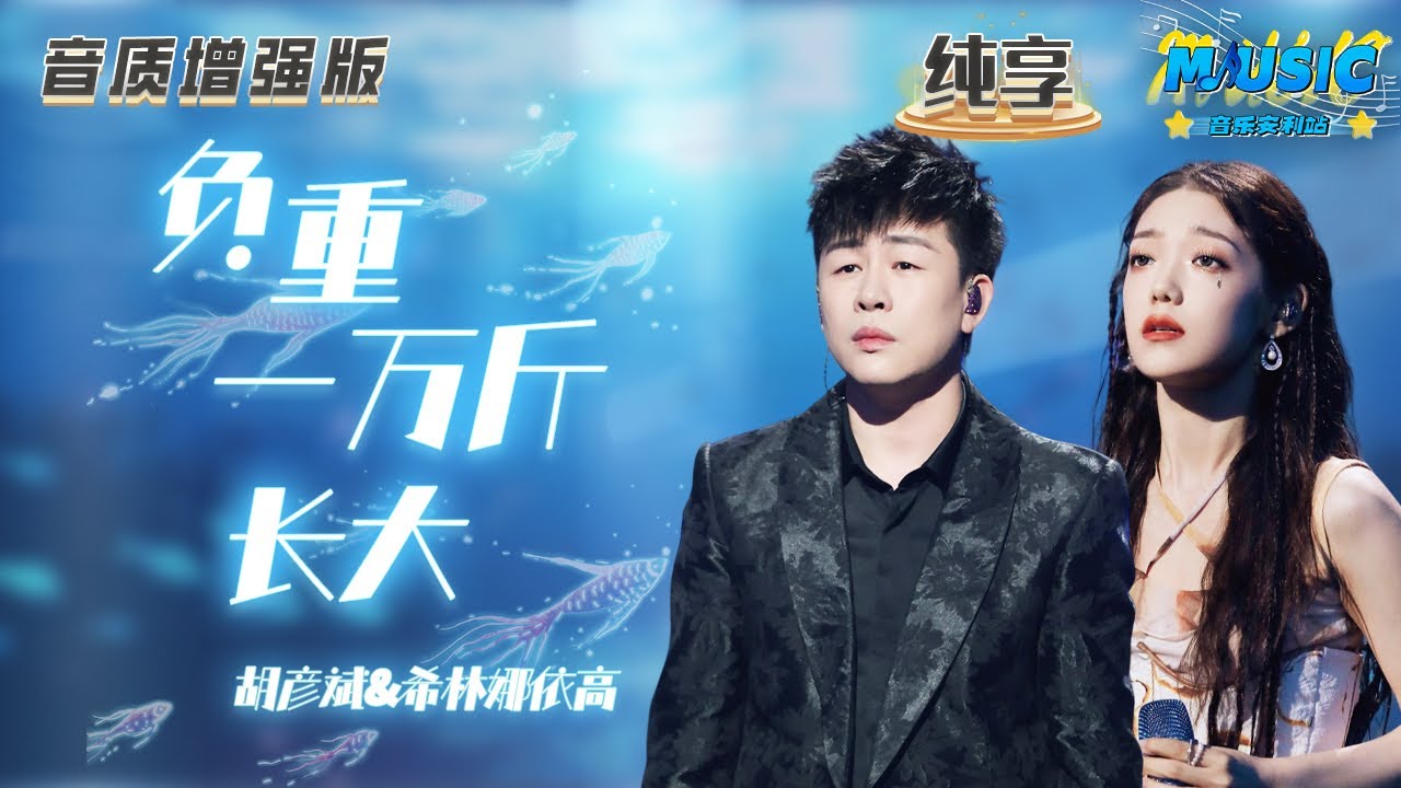 【音质增强版】 #胡彦斌 #希林娜依高 《负重一万斤长大》 #天赐的声音4 #音乐安利站 【live】