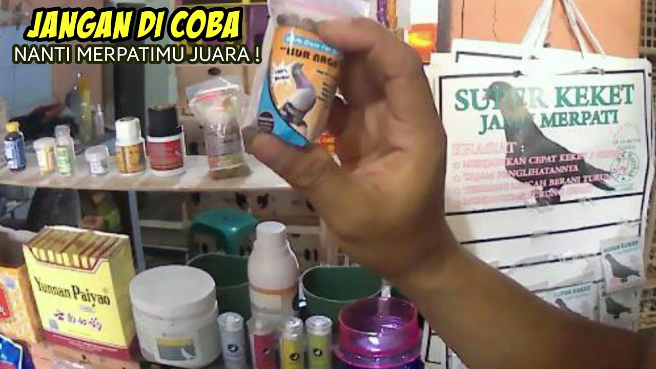 Obat Merpati tetelo atau Kurang Keket Disini Semua Ada  #bengkelpigeon #jaktim