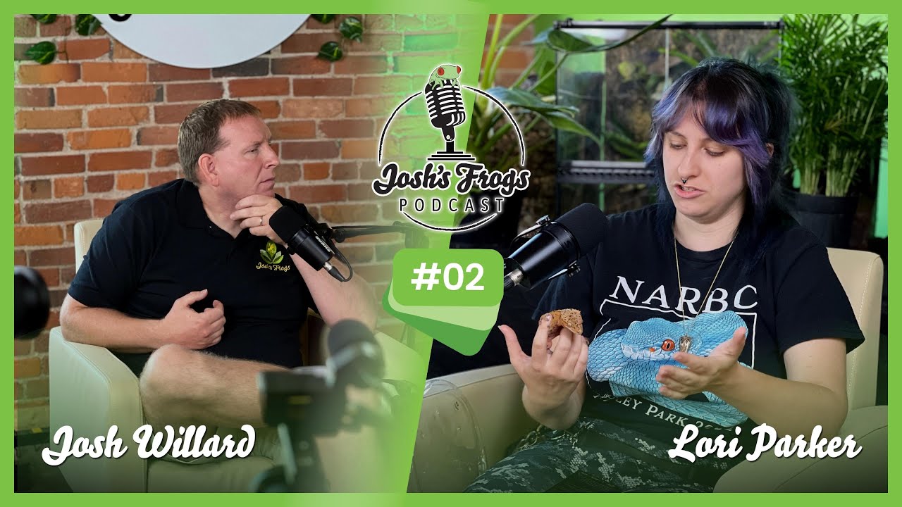 All About Crested Geckos—Your Next Pet | The Josh's Frogs Podcast