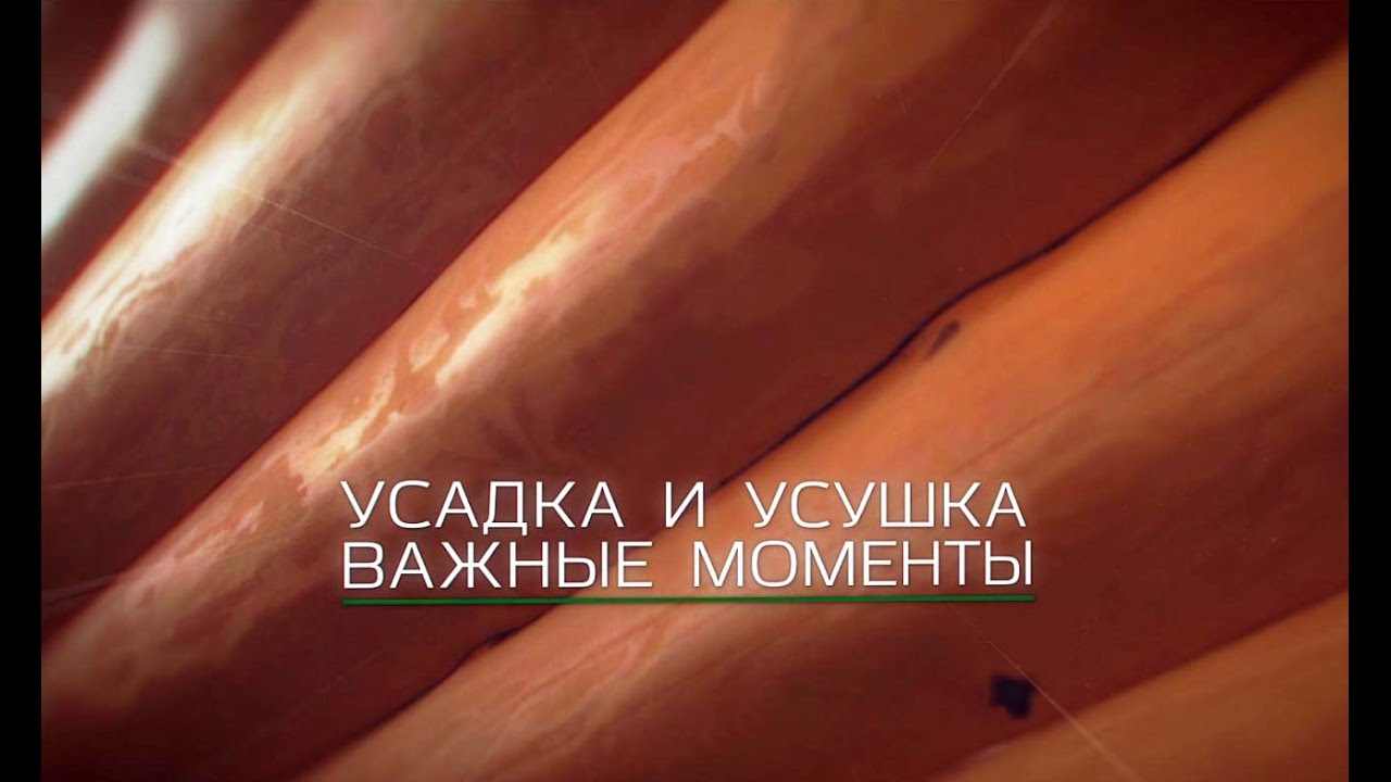 Строительство деревянных домов. Усушка и усадка.