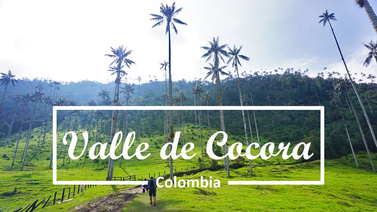 Walking Tour VALLE DE COCORA | Salento, Colombia