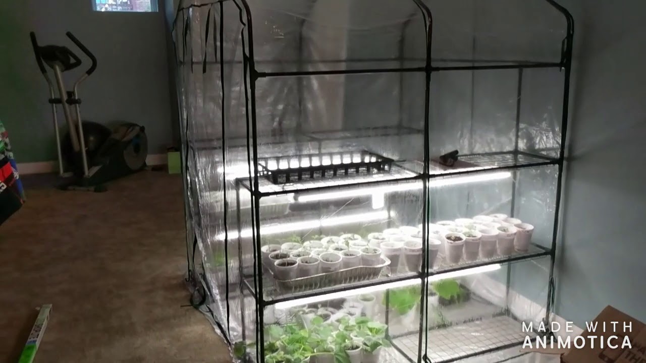 Inexpensive indoor greenhouse