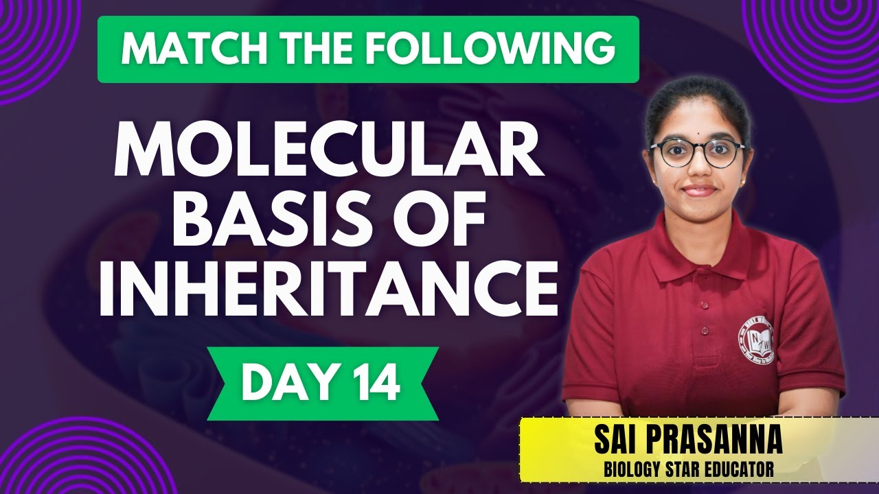 Match the Following Based Discussion on Molecular Basis of Inheritance | NEET Biology | #neet2025