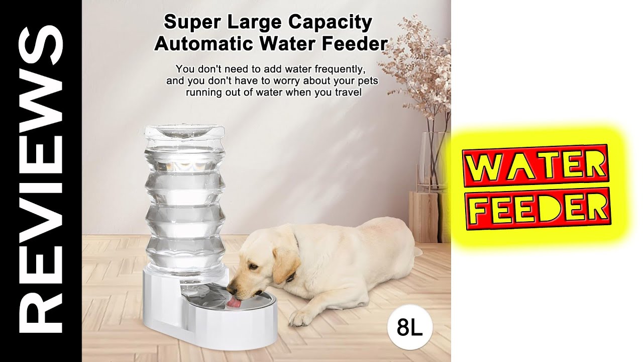 RIZZARI Automatic Pet Water dispenser Review