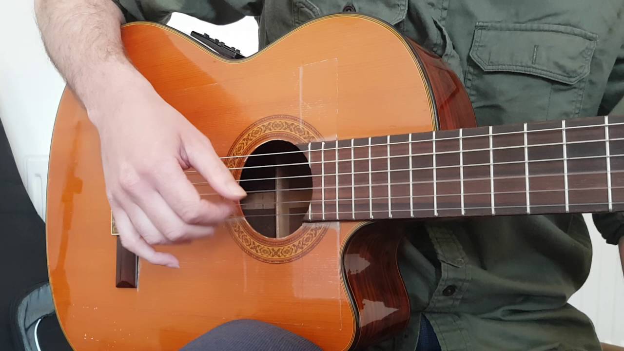 Travis Picking - Beginner Guitar Lesson 12 Bar Blues