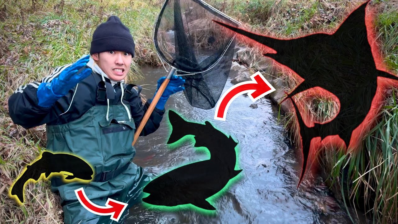 【過酷】タモ網一本でどんどんサイズアップさせなきゃいけないガサガサでまさかの緊急事態発生....