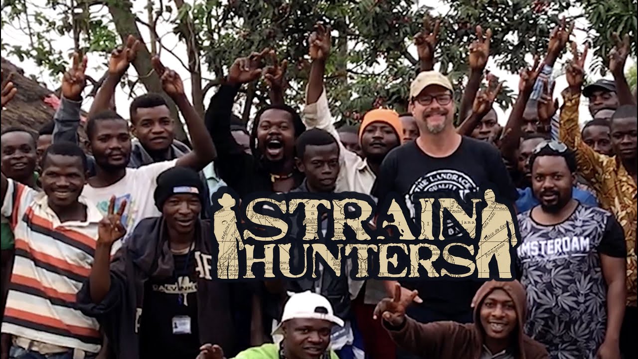 Strain Hunters - Positive Vibes!
