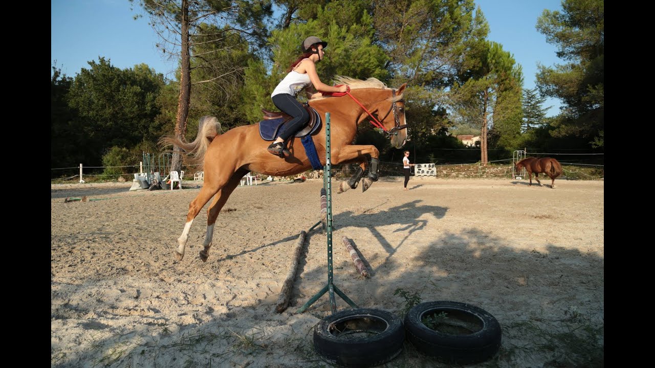 S&eacute;ance de CSO