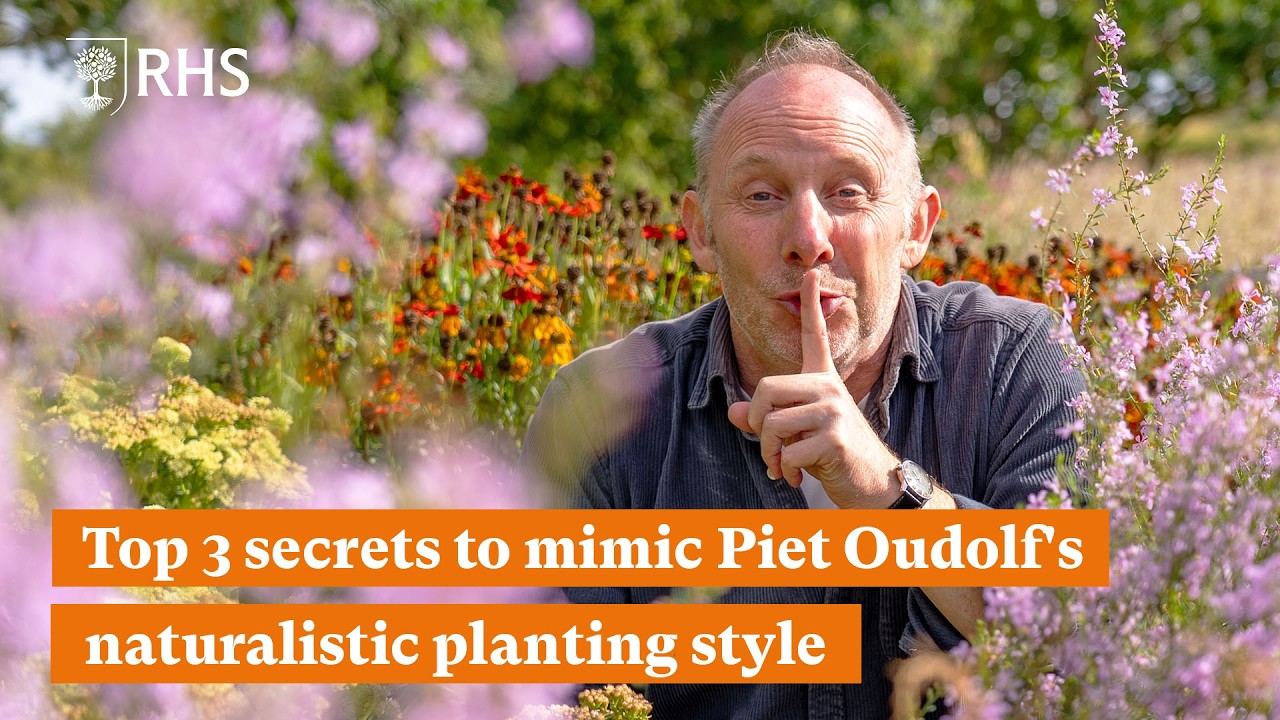 Top 3 secrets to mimic Piet Oudolf's naturalistic planting style | The RHS