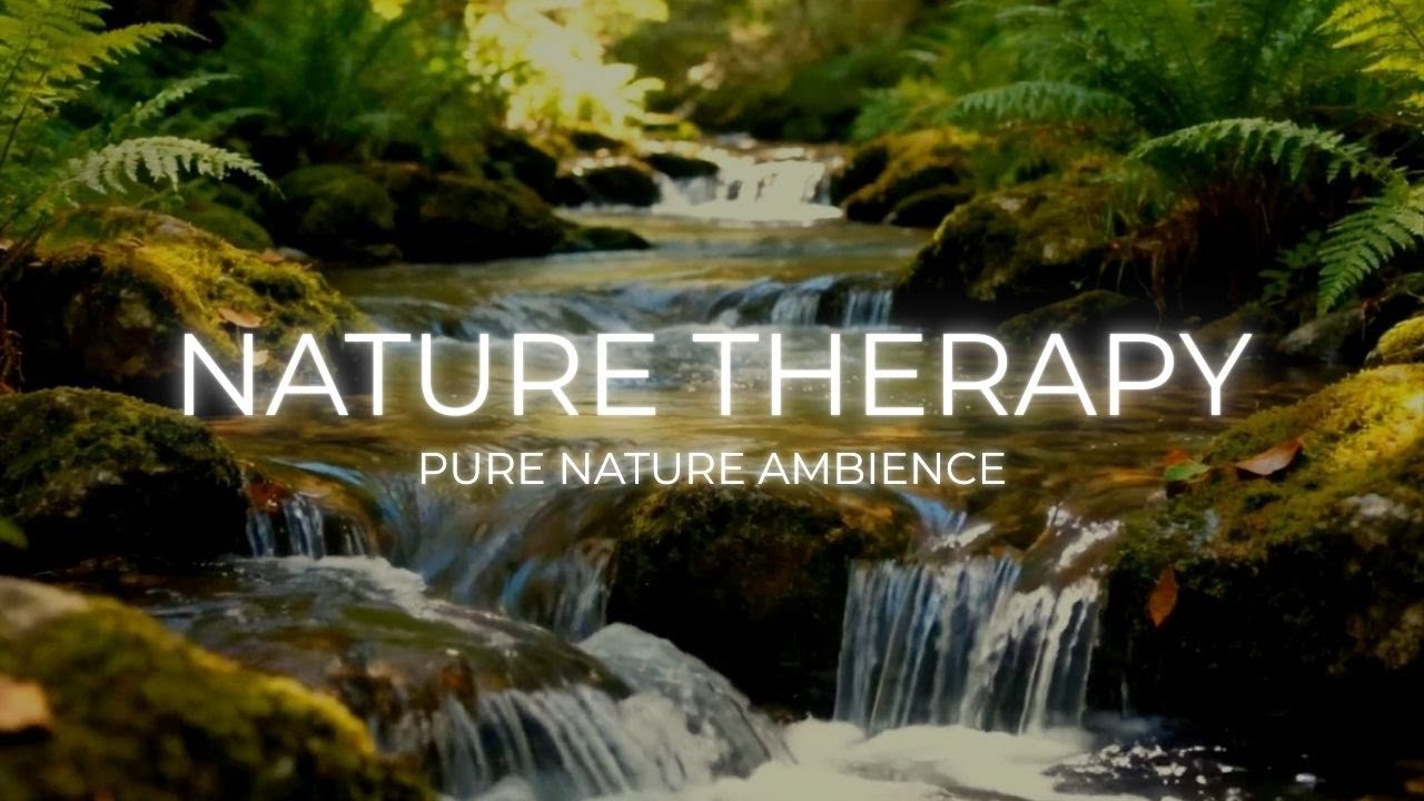 Deep Forest Creek Soundscape with Birds Singing for Fall Asleep Fast