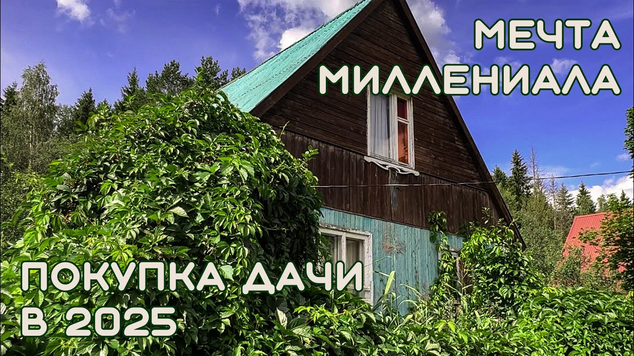 Мечта миллениала: покупка дачи в Московской области 2025
