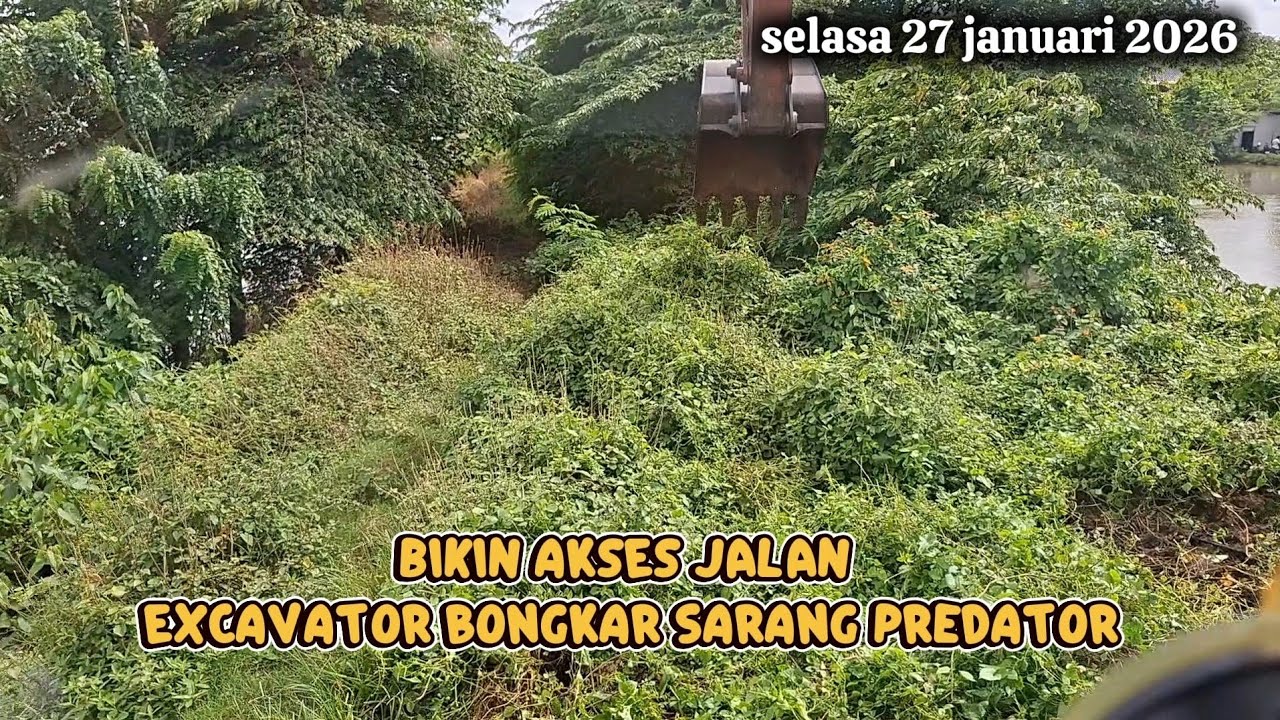 ❗️HOROR BIKIN AKSES JALAN EXCAVATOR❗️ MAU MENUJU LOKASI TAPI AGKER BEGINI LOKASI NYA❗️